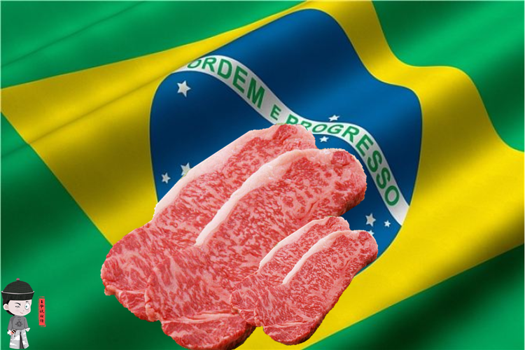 阿根廷 巴西 牛肉